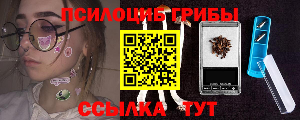 Псилоцибиновые грибы мицелий Тихорецк